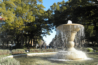 横浜スタジアム（横浜公園）のすぐ近く