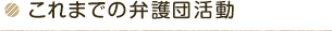 これまでの弁護団活動