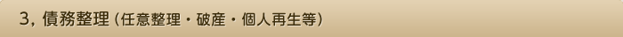 3, 債務整理（任意整理・破産・個人再生等）